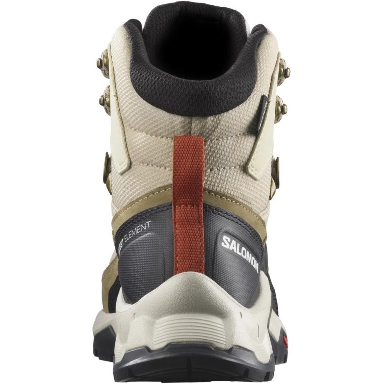 Botas Montaña Salomon Quest Element GTX Mujer Beige Verde Oliva Negros | MX QOAP198